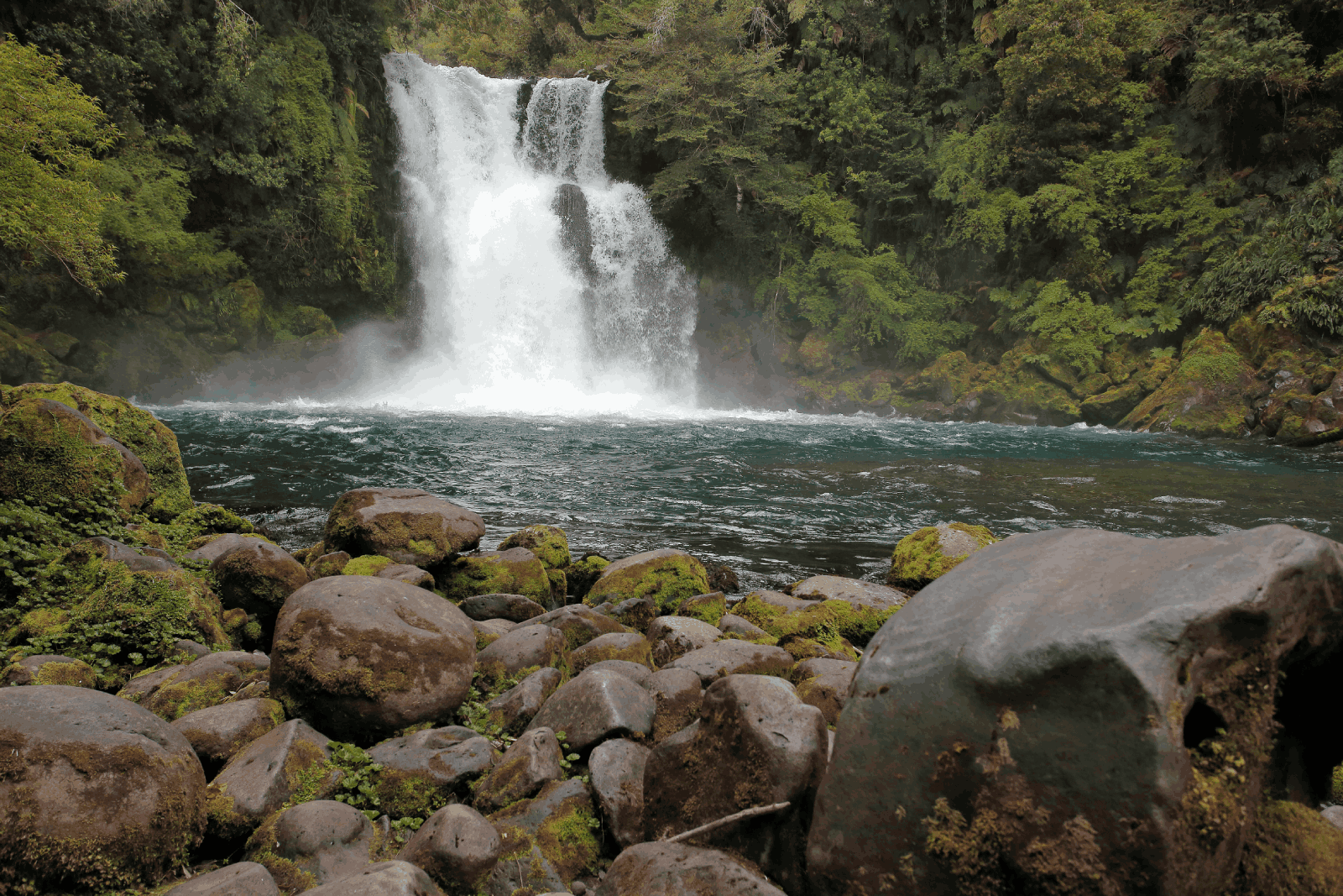 🌲 Itinerario Sur de Chile – Enero 2026 Incluye Carretera Austral