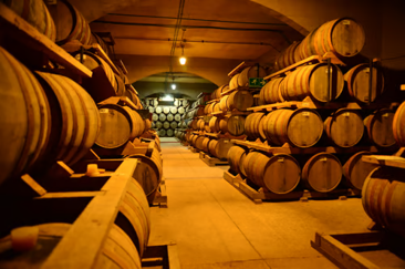 Imagen20 ¡Vive la Aventura del Centro de Chile! Tour de Estudio para Colegios